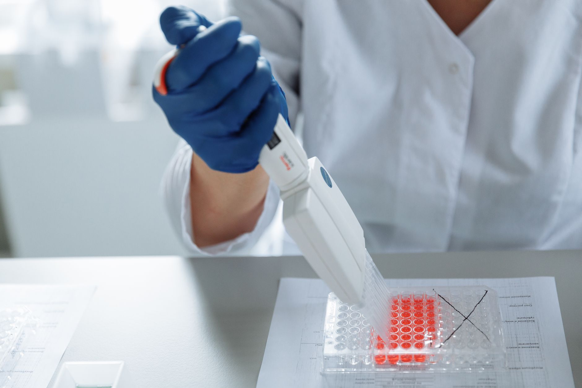 A laboratory technician uses a pipette over a plate with red samples during DNA screening.
