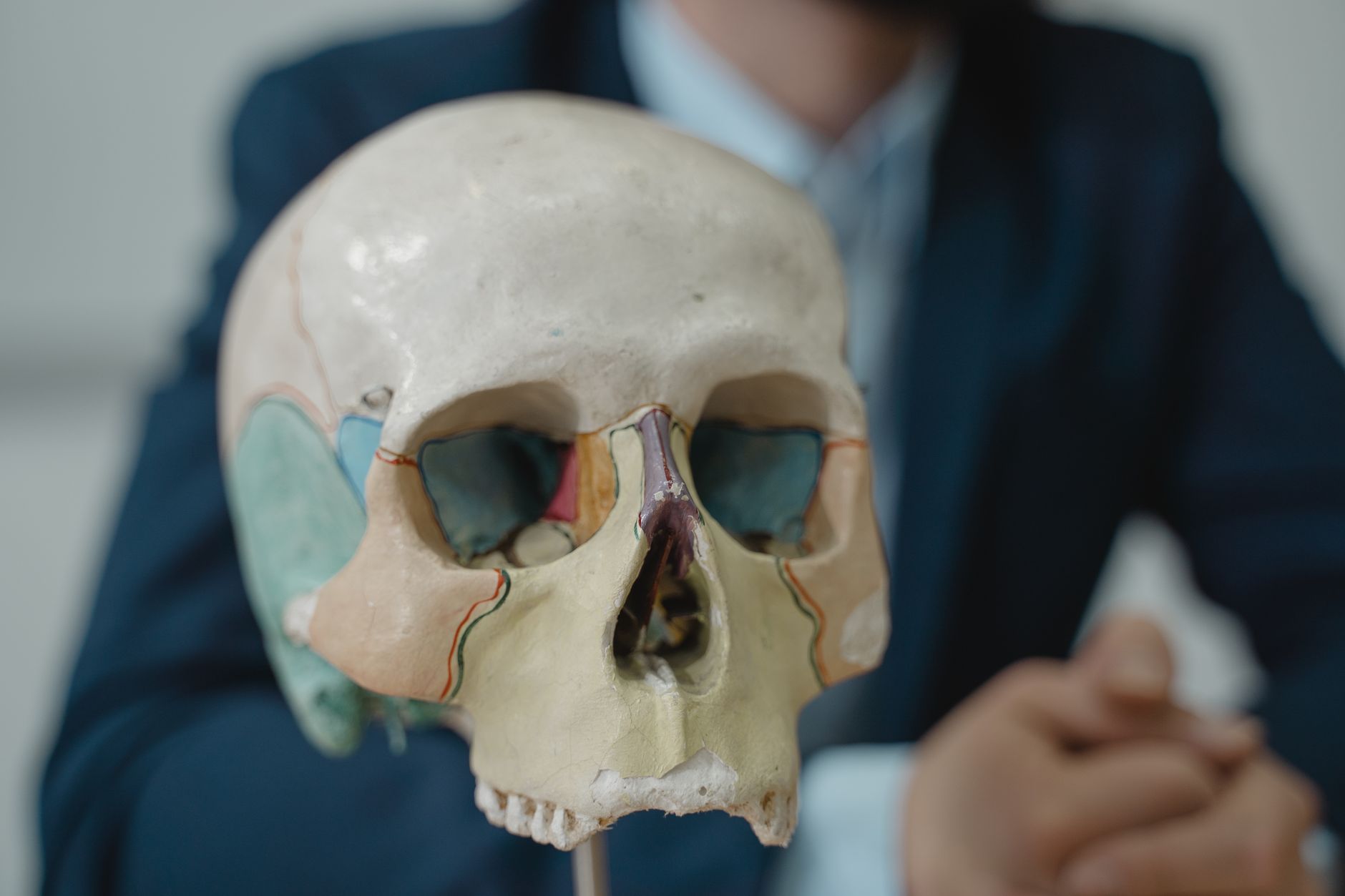 Close-up of an anatomical skull model with colored features, ideal for medical education.