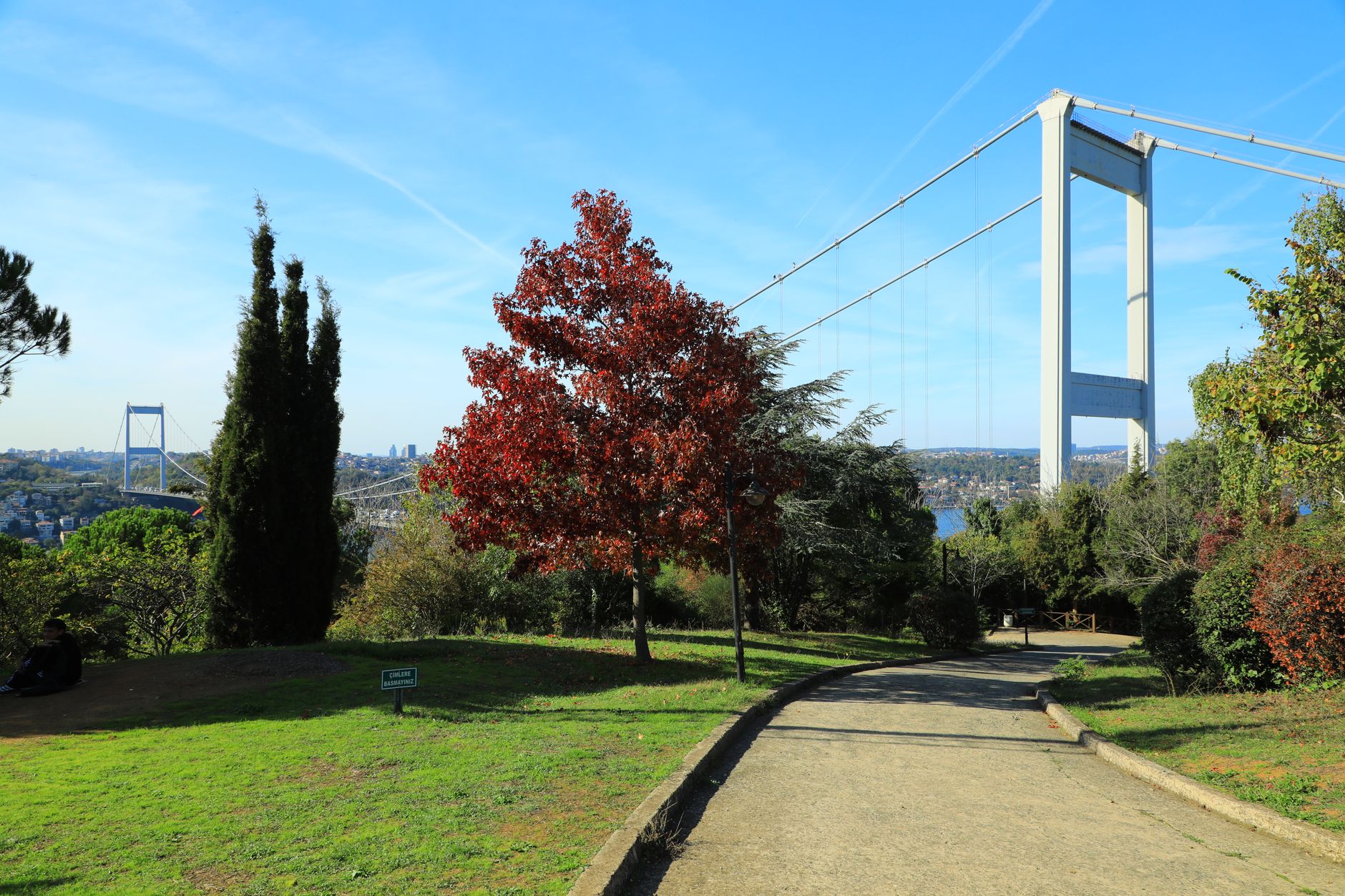 A serene park in Istanbul showcasing colorful autumn leaves and a bridge in the background.