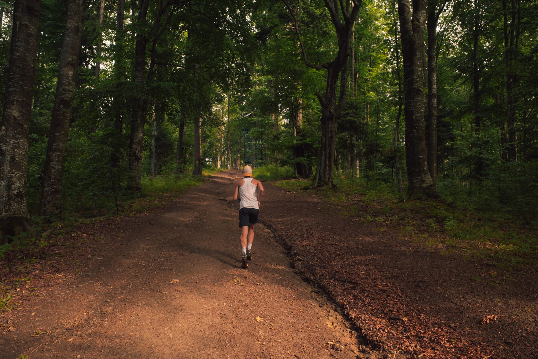 A runner jogging along a dirt path in the lush Belgrad Forest, Istanbul, surrounded by tall trees.