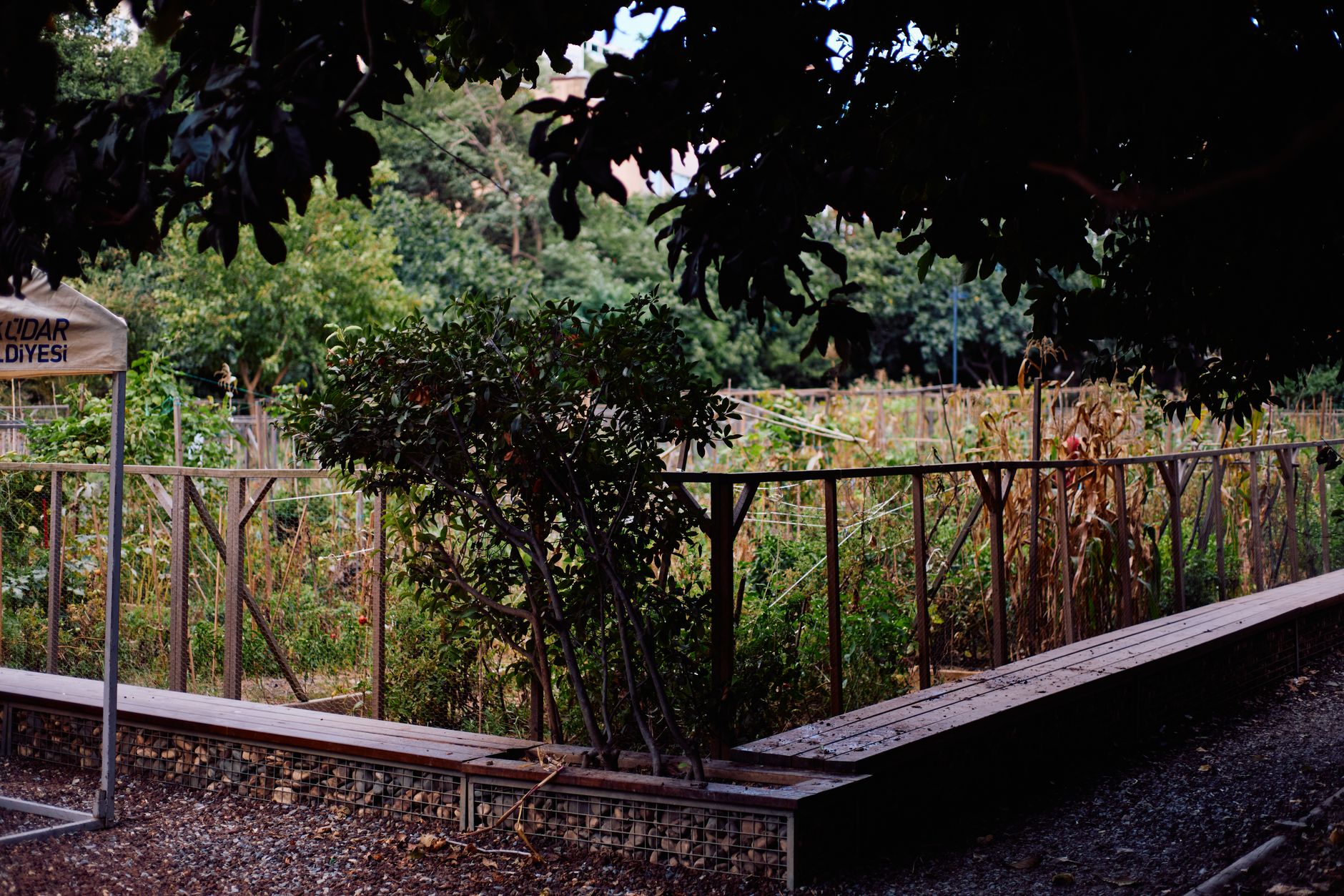 A tranquil garden with greenery and seating in a hospital in Istanbul, promoting relaxation and healing.