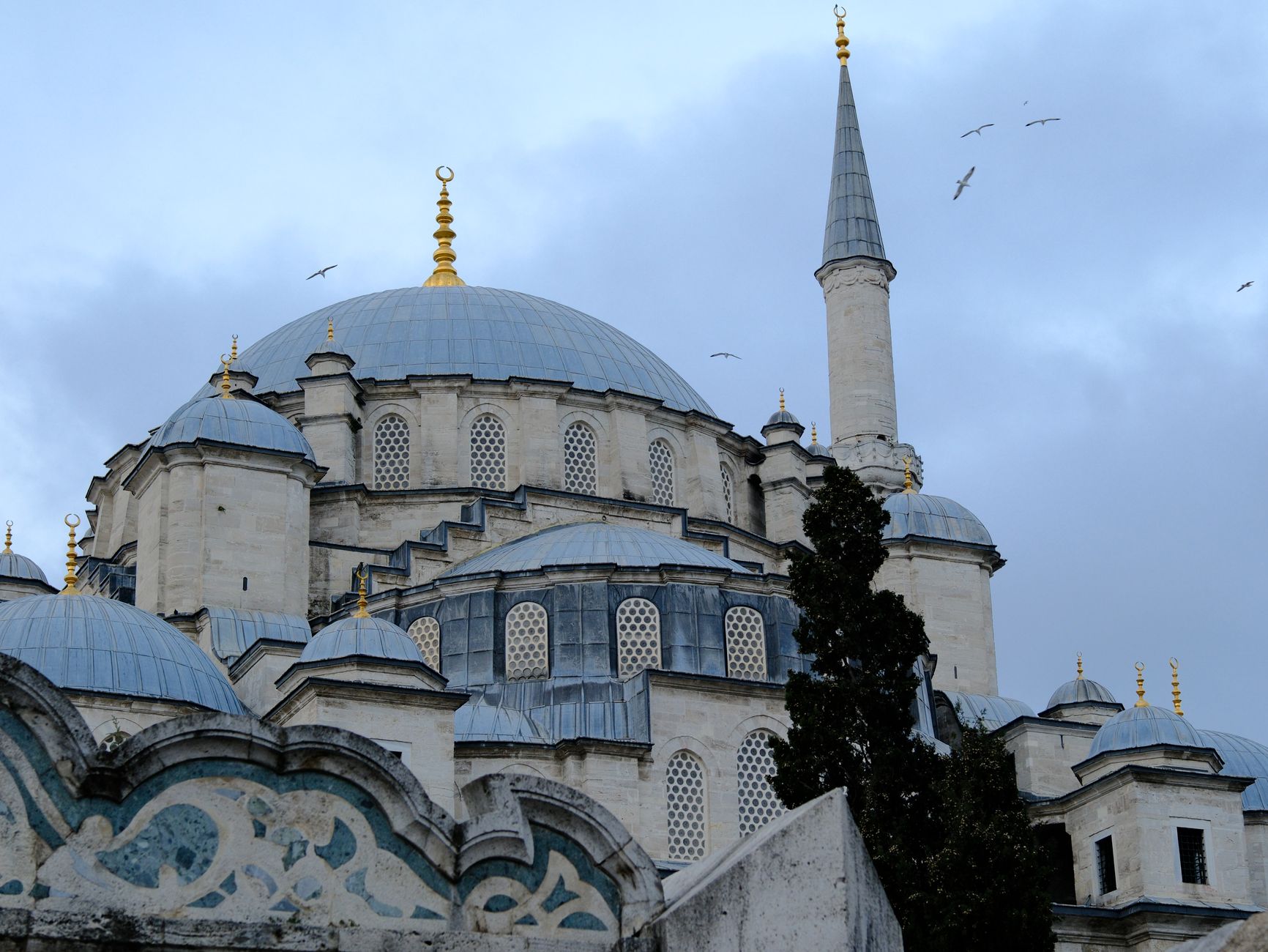 View of Istanbul mosque featuring domes and minarets against a cloudy sky.