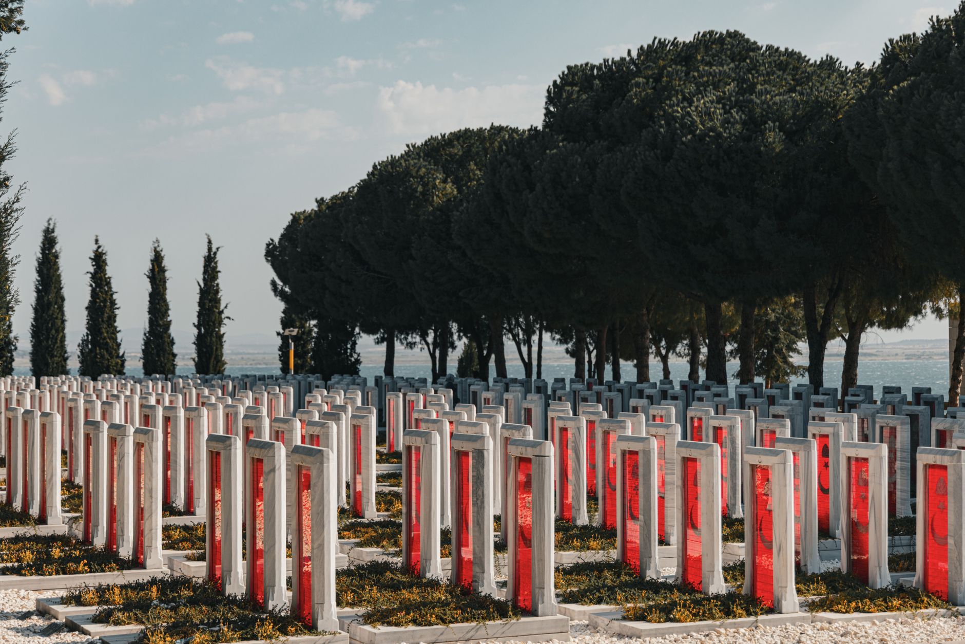 Uzun çam ağaçlarının arasında beyaz mezar taşları ve kırmızı detaylarıyla Lone Pine Mezarlığı'ndan bir görünüm.