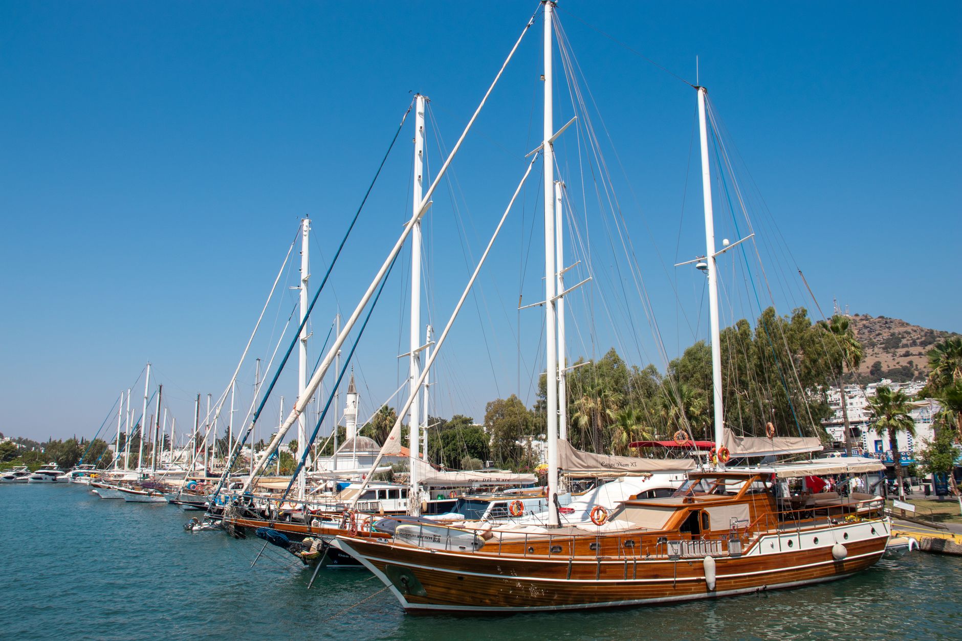 Lively Bodrum harbour showcasing majestic gulets and sailing yachts docked along the serene waterfront.