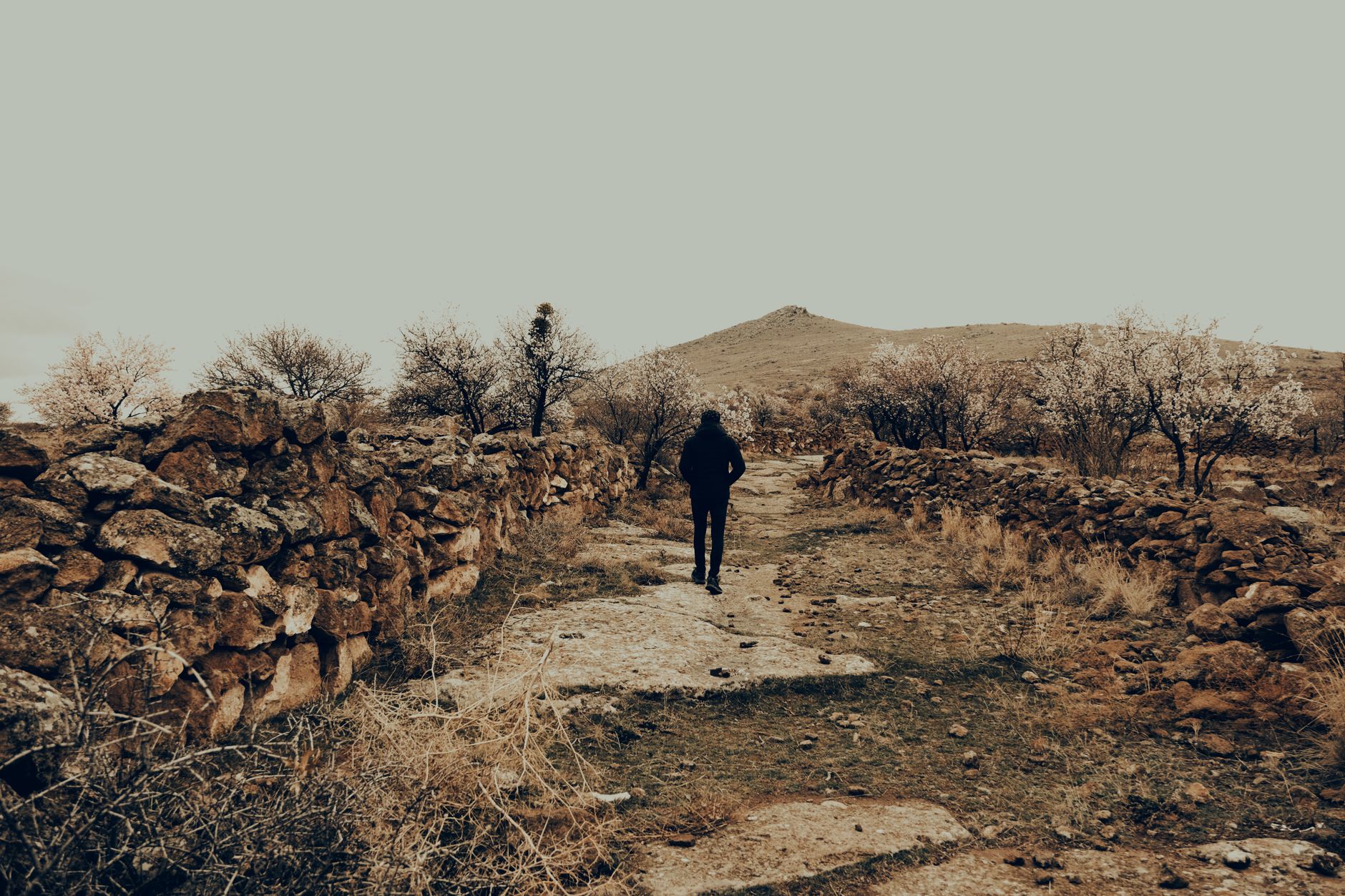 Bir kişi, kırsal bir manzarada taş duvarlar ve ağaçlarla çevrili manzaralı bir patikada yürüyor.
