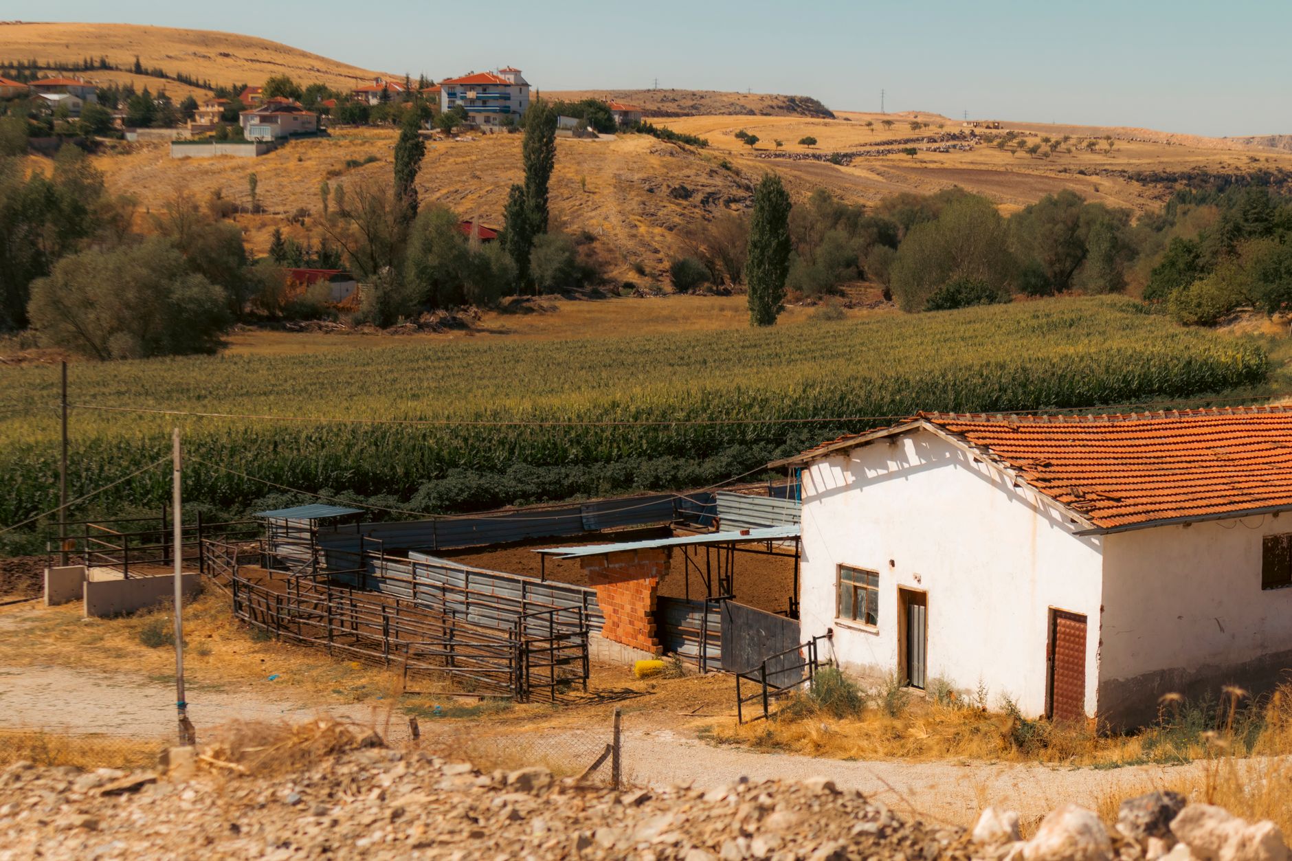 Scenic view of traditional village houses and farmland near a salt lake.