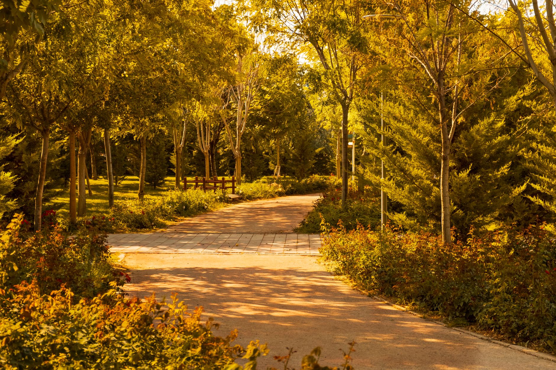 Scenic tree-lined walking path in a calm park setting in Konya, perfect for gentle recovery walks.