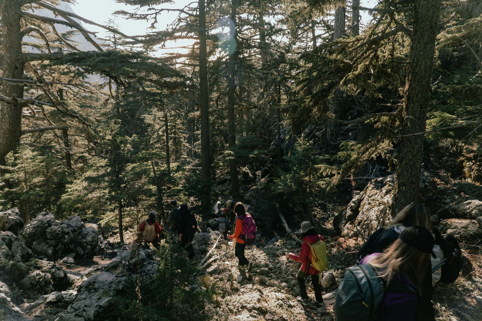 一群徒步旅行者沿着耶尔德兹山脉的岩石小径前行。